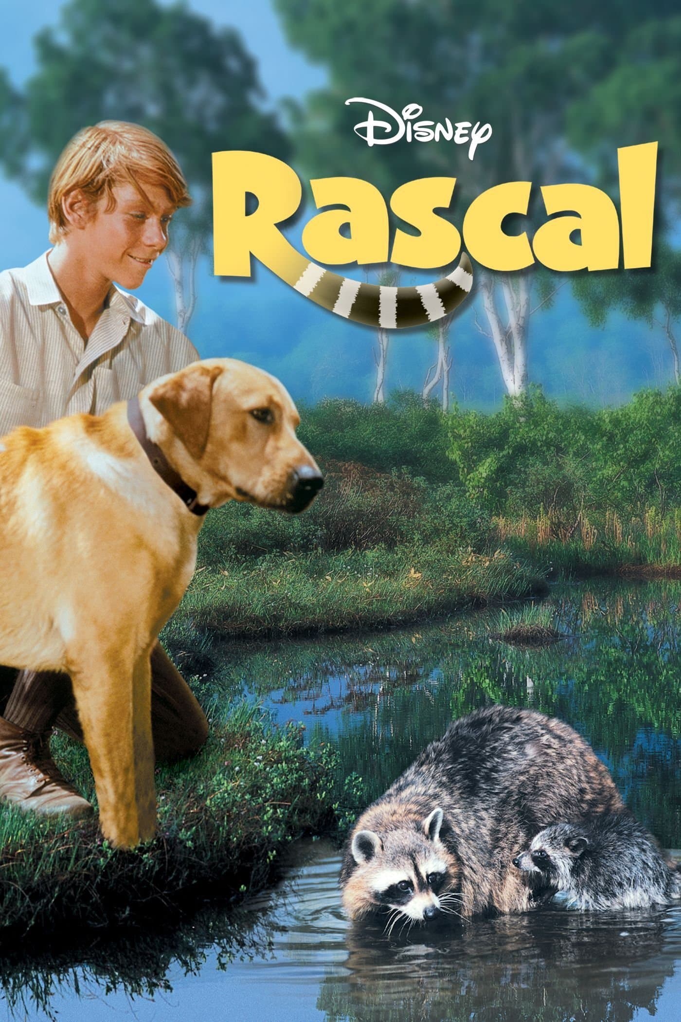 Poster Rascal