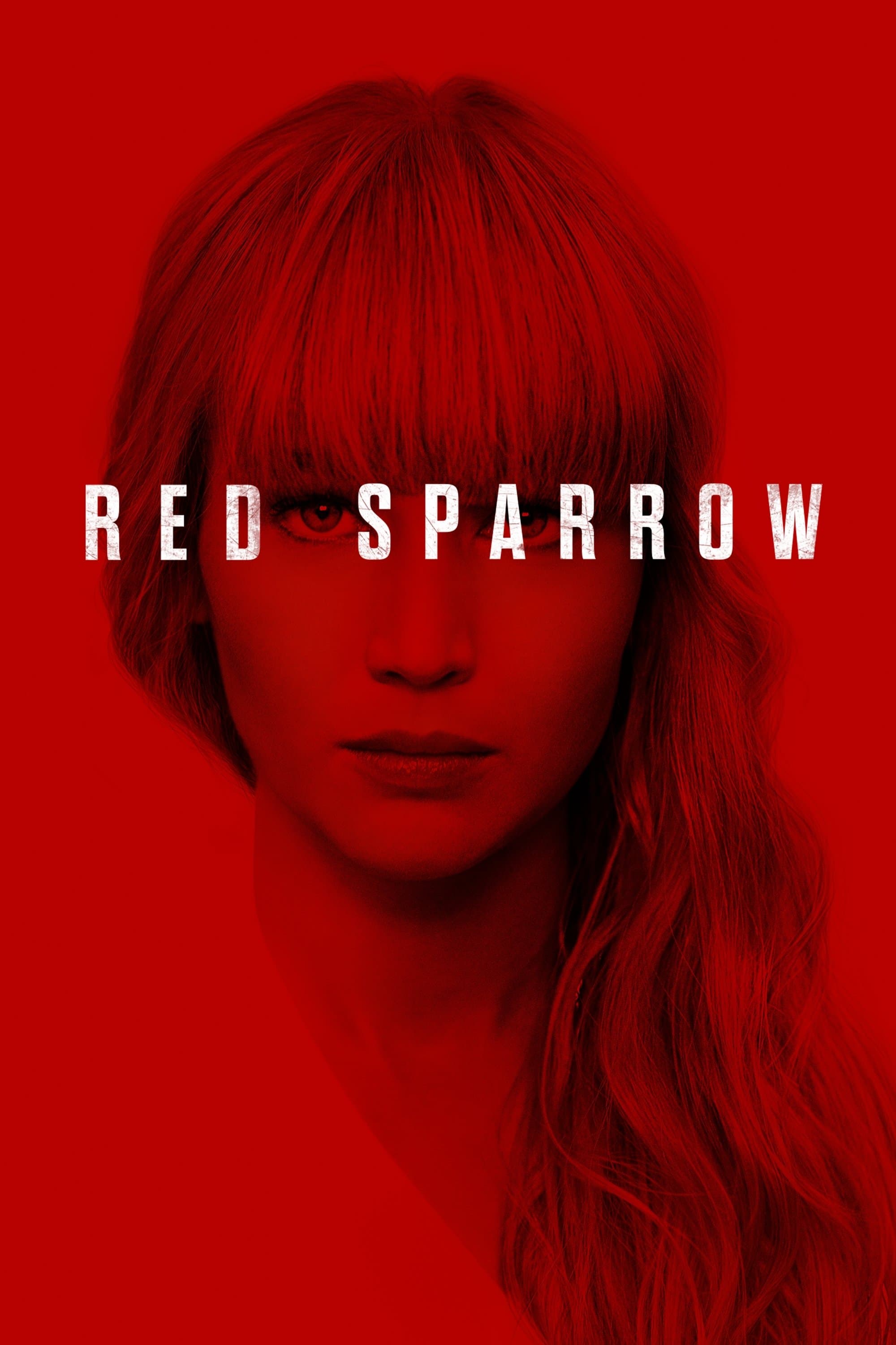 Poster Red Sparrow