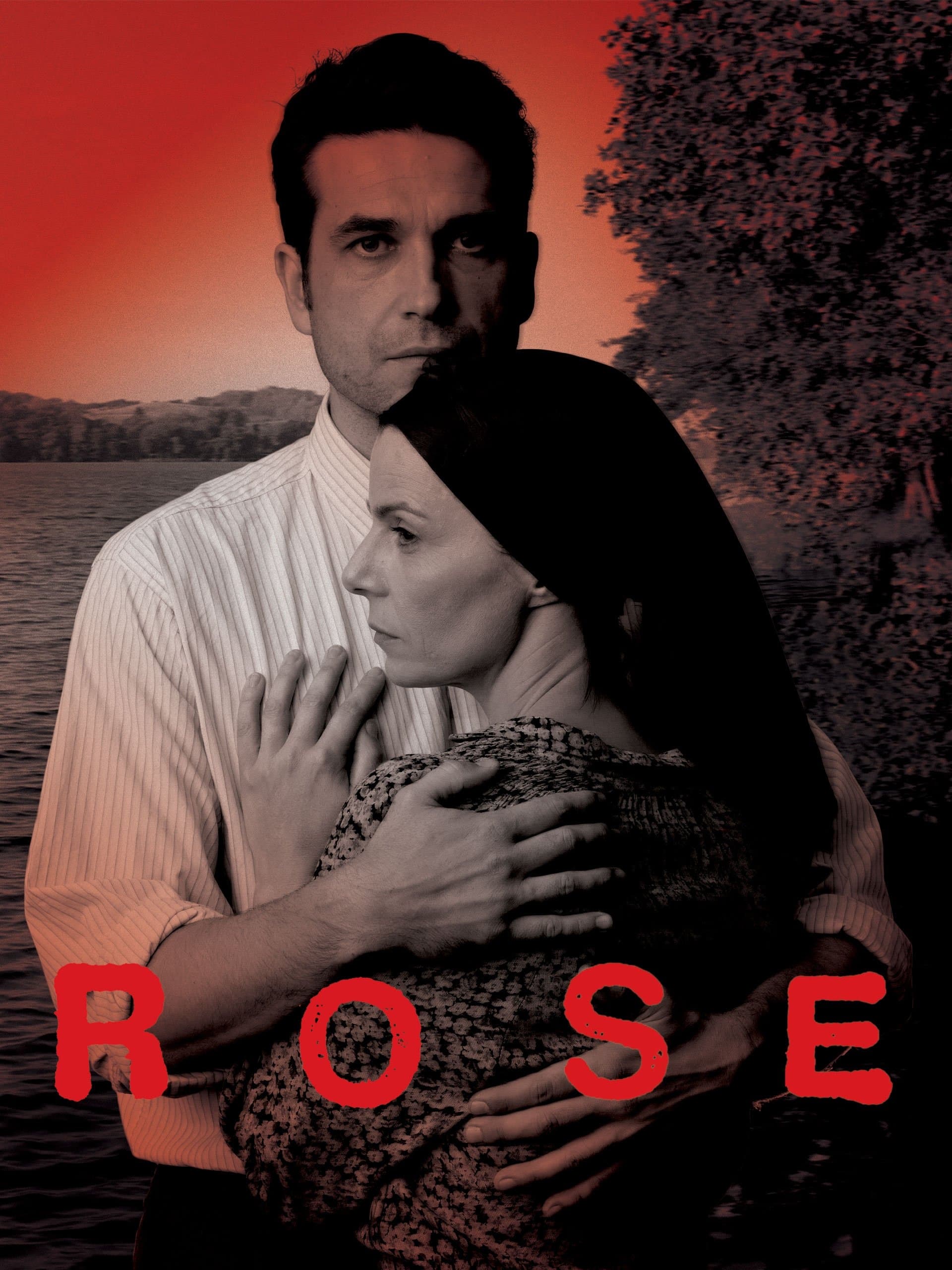 Poster Rose