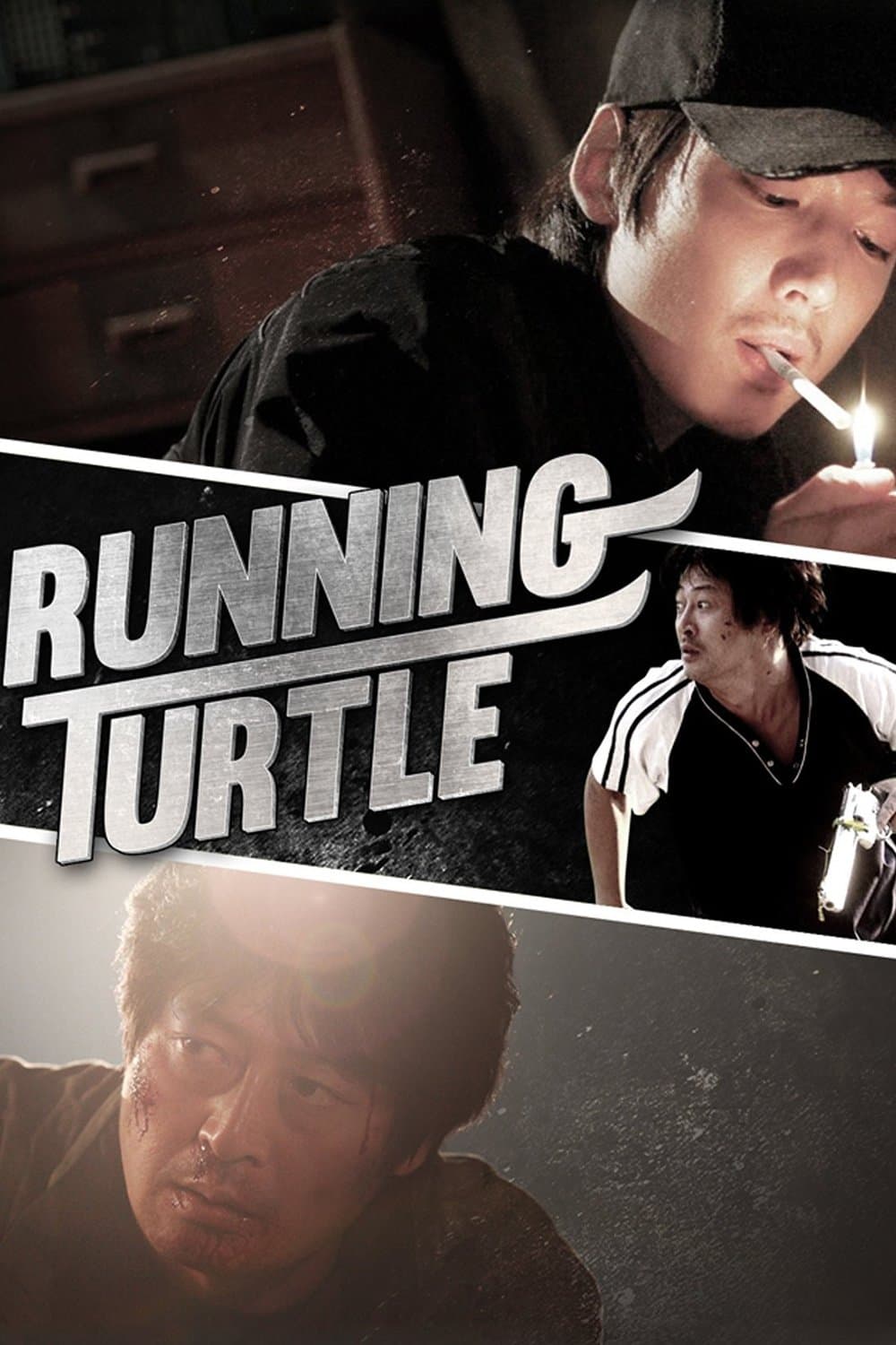 Poster Running Turtle