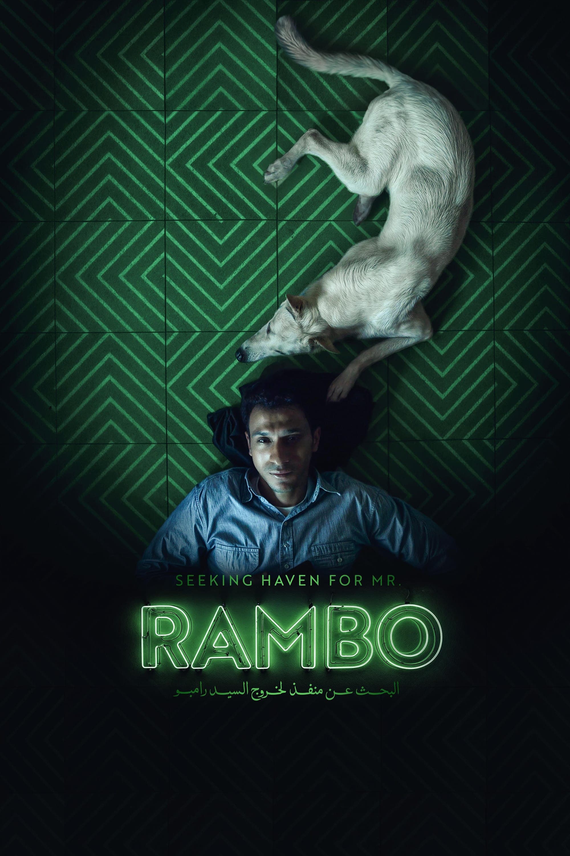 Poster Seeking Haven for Mr. Rambo
