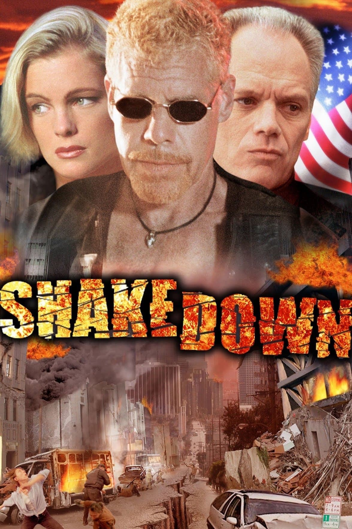 Poster Shakedown