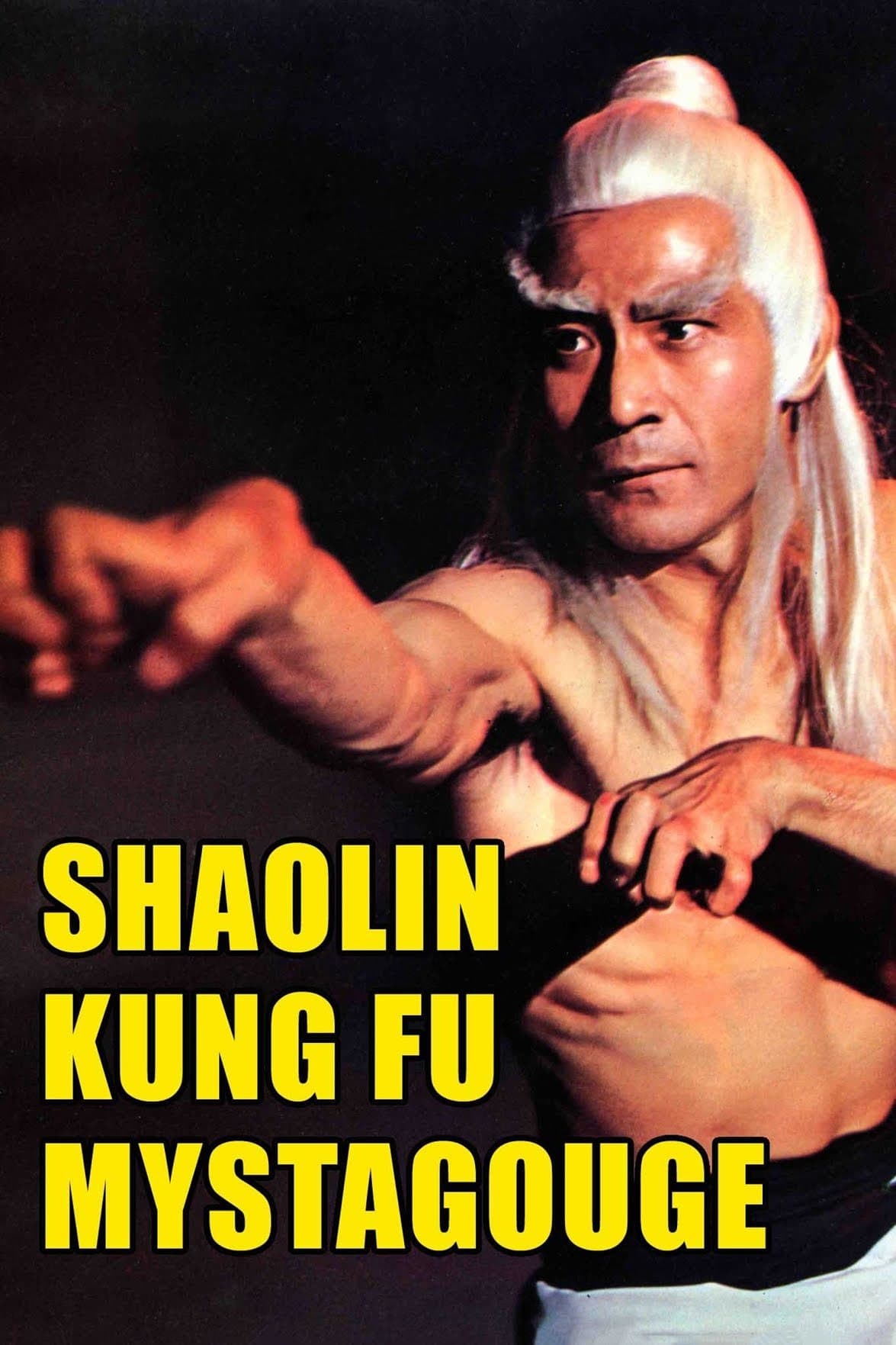 Poster Shaolin Kung-Fu Mystagogue