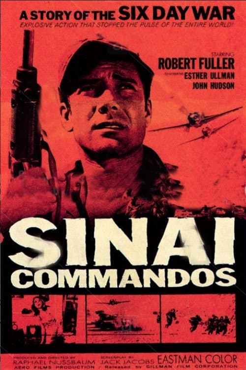 Poster Sinai Commados