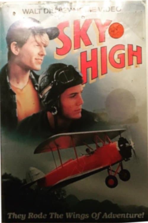 Poster Sky High