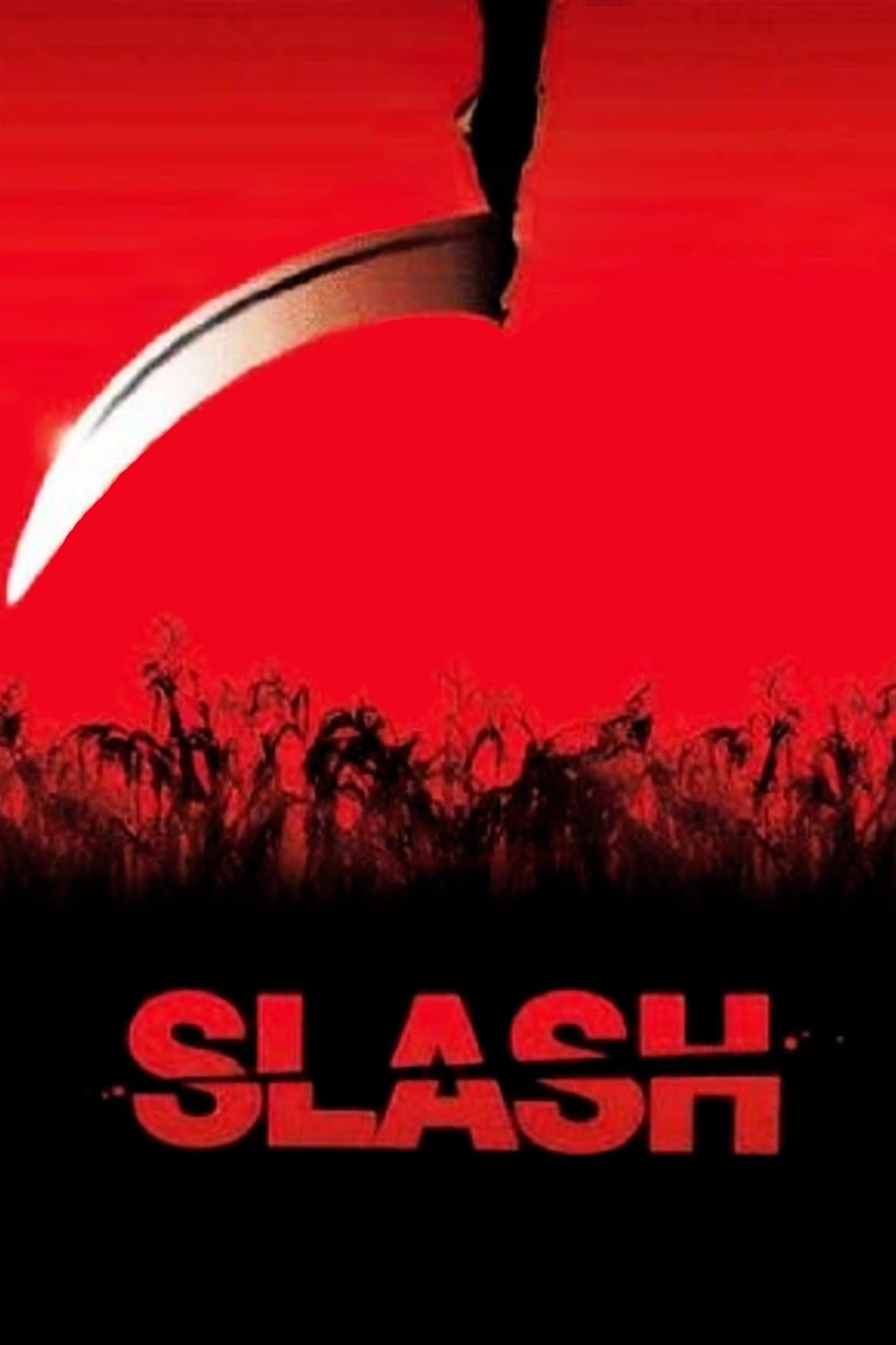 Poster Slash