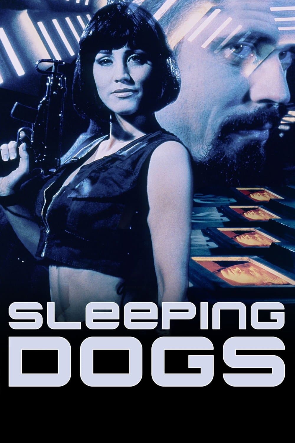 Poster Sleeping Dogs