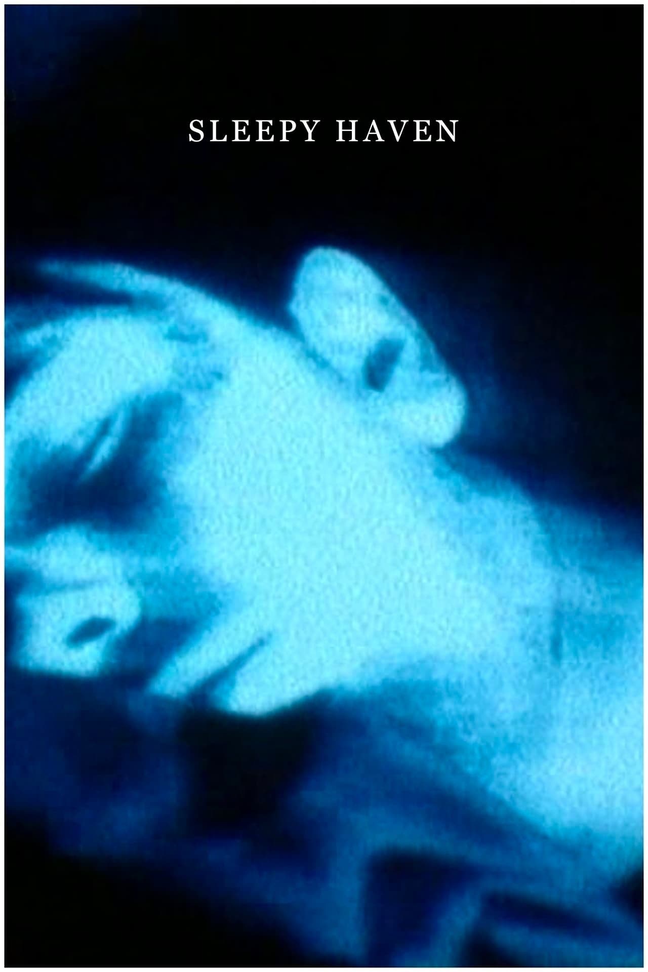 Poster Sleepy Haven