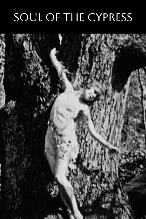 Poster Soul of the Cypress