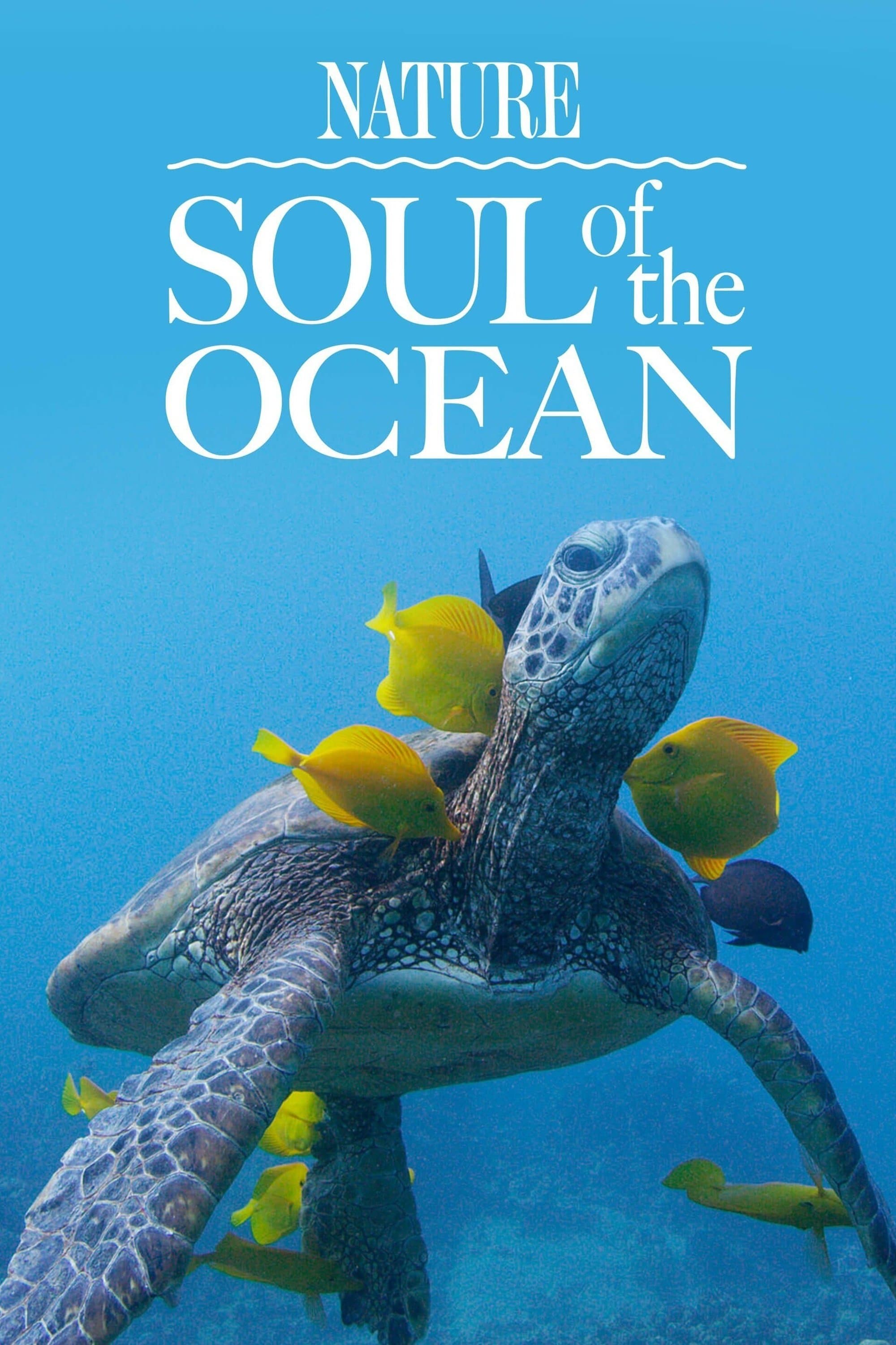 Poster Soul of the Ocean