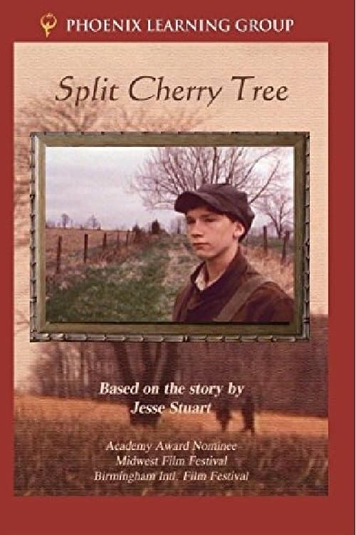 Poster Split Cherry Tree