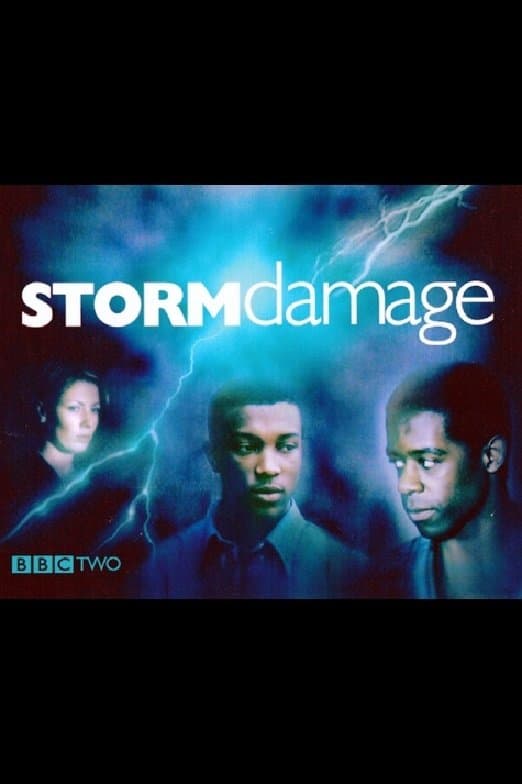Poster Storm Damage