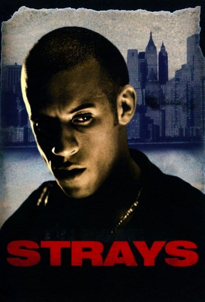 Poster Strays