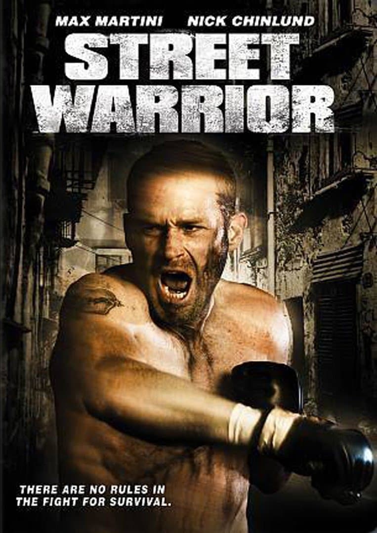 Poster Street Warrior