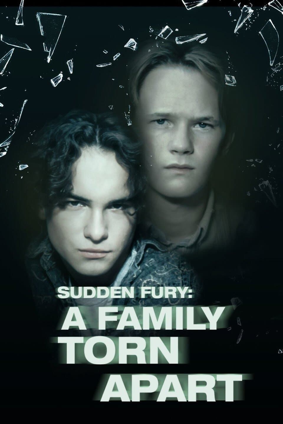 Poster Sudden Fury