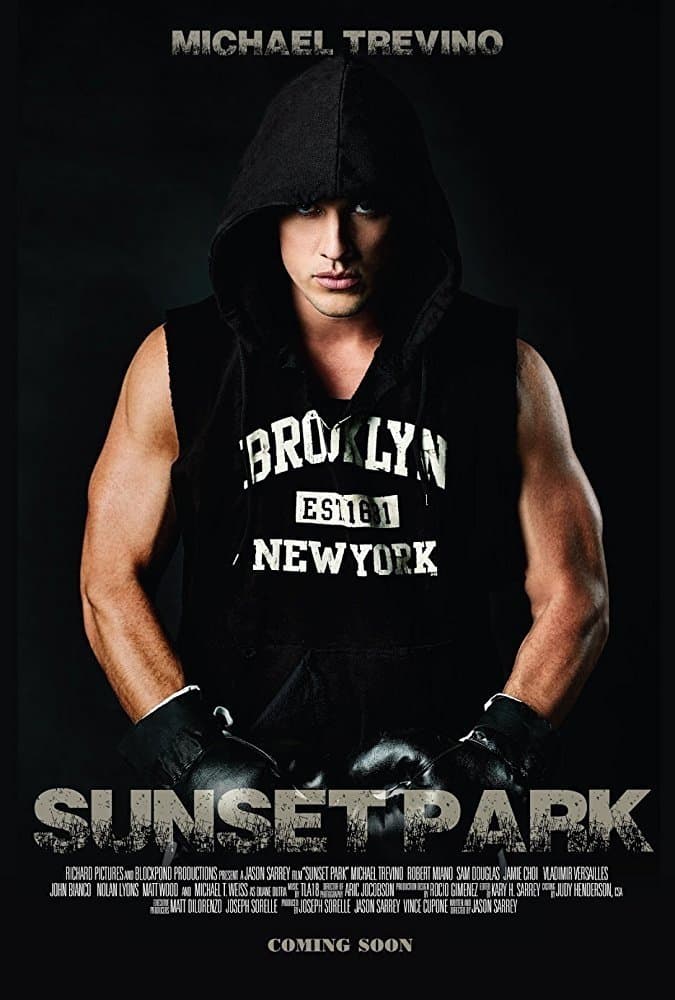 Poster Sunset Park