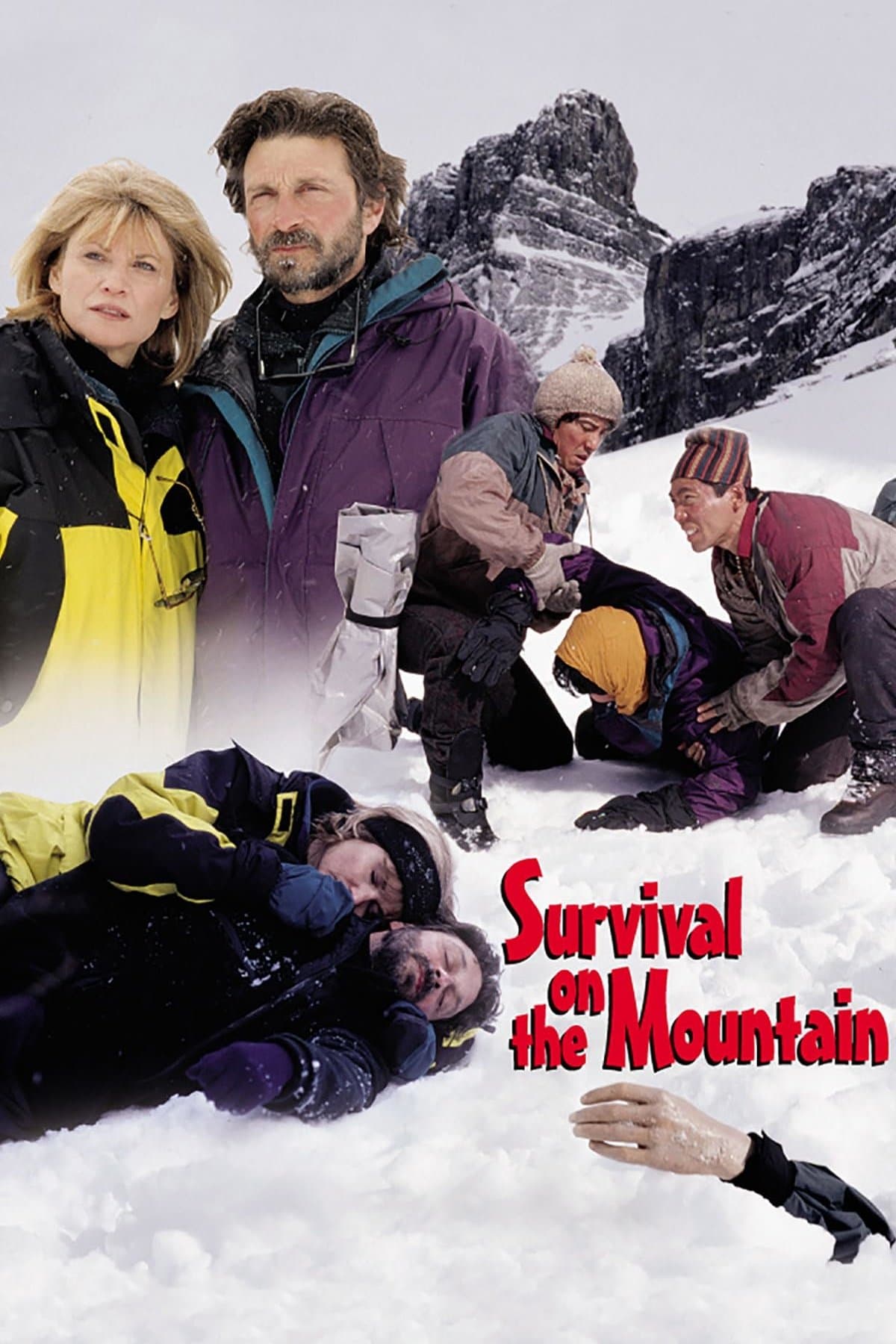 Poster Survival on the Mountain