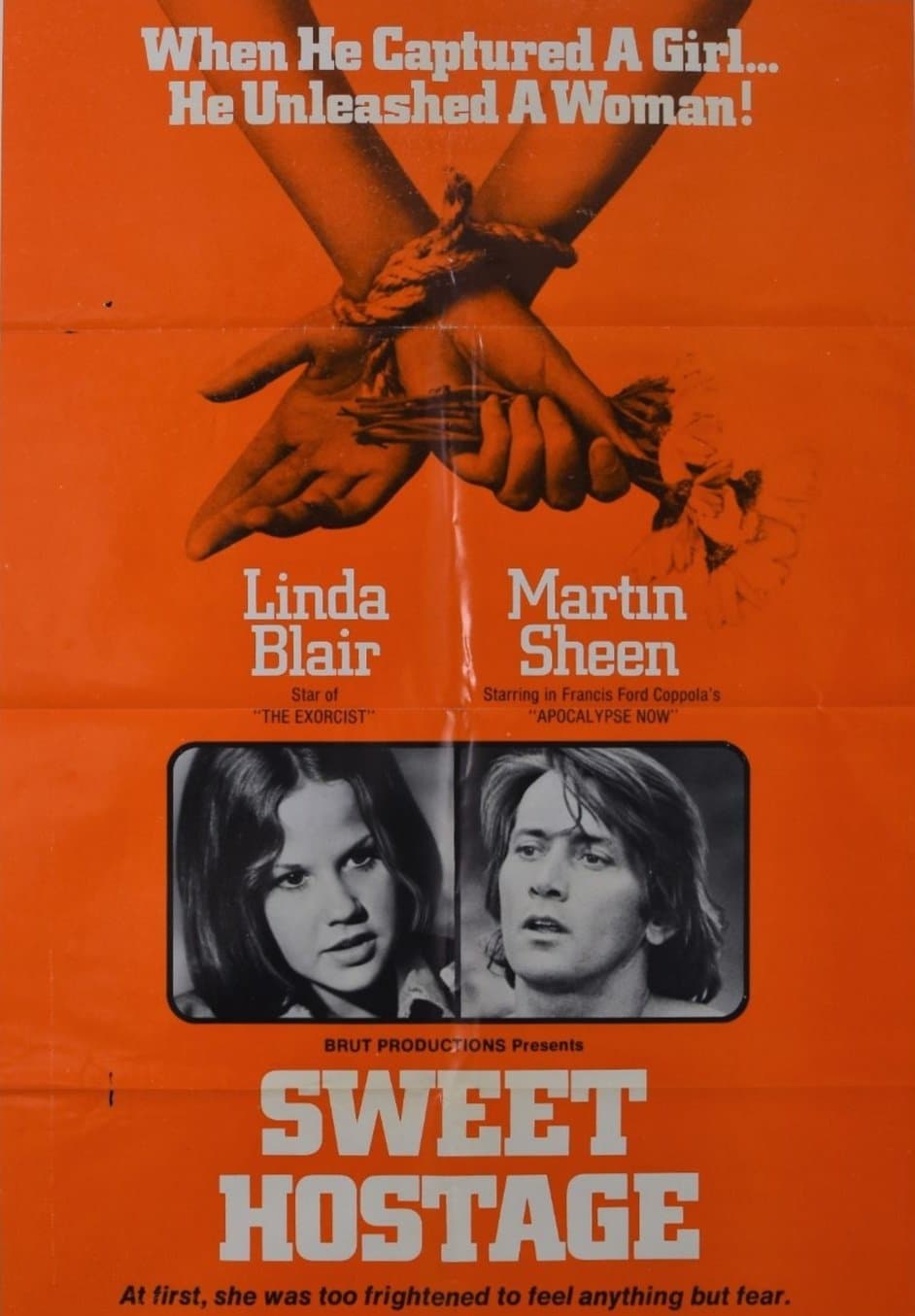 Poster Sweet Hostage
