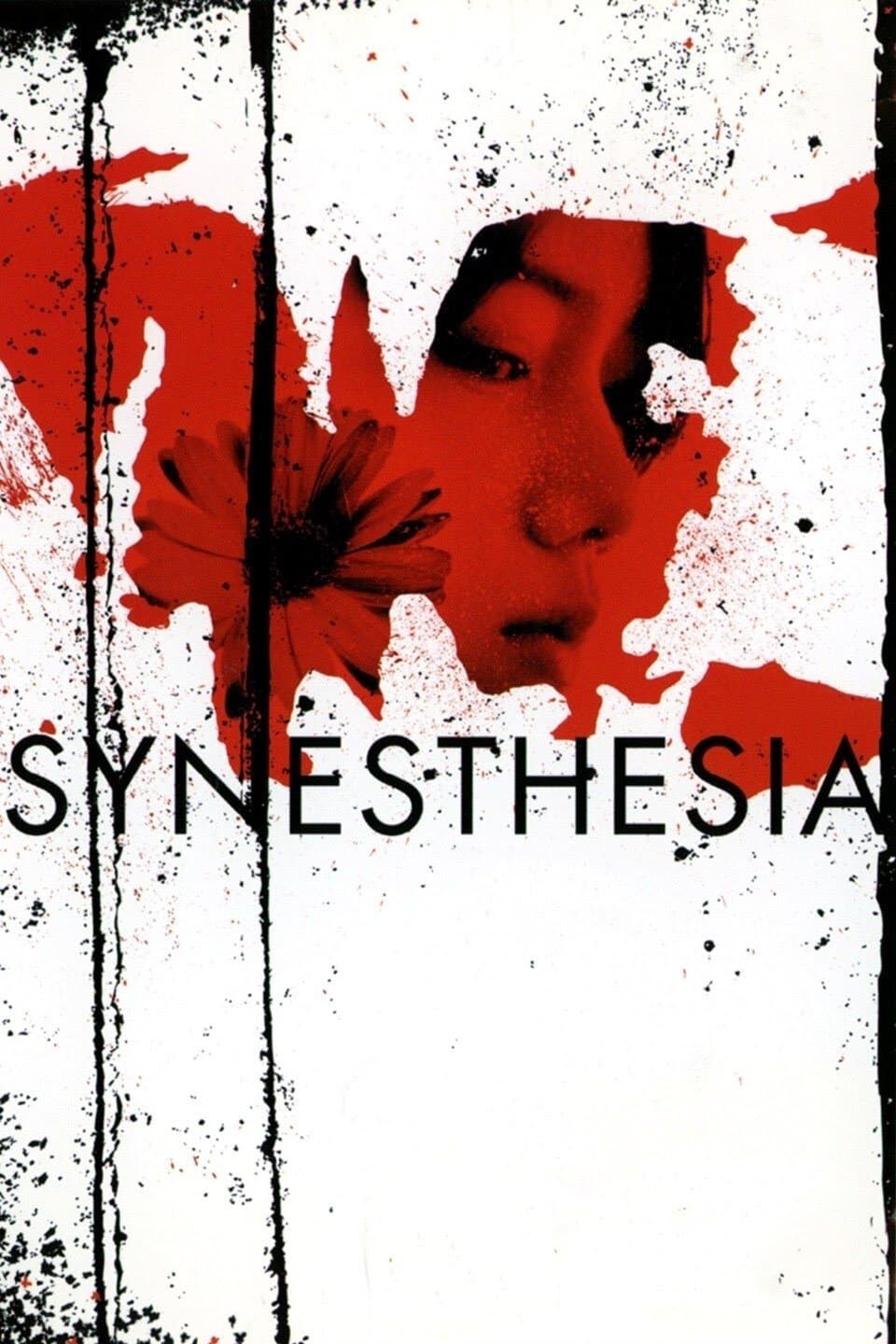 Poster Synesthesia