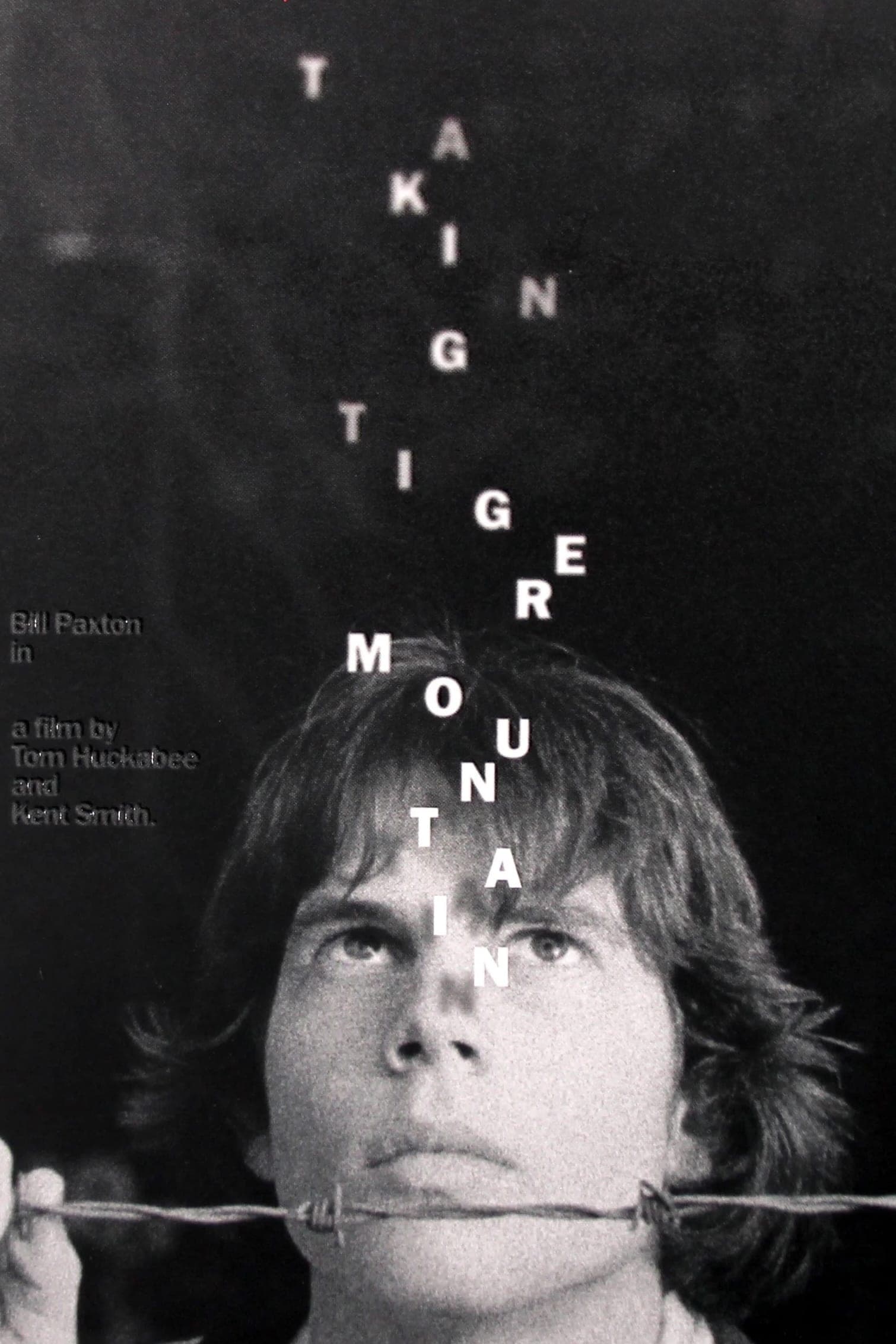 Poster Taking Tiger Mountain