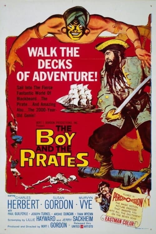 Poster The Boy and the Pirates