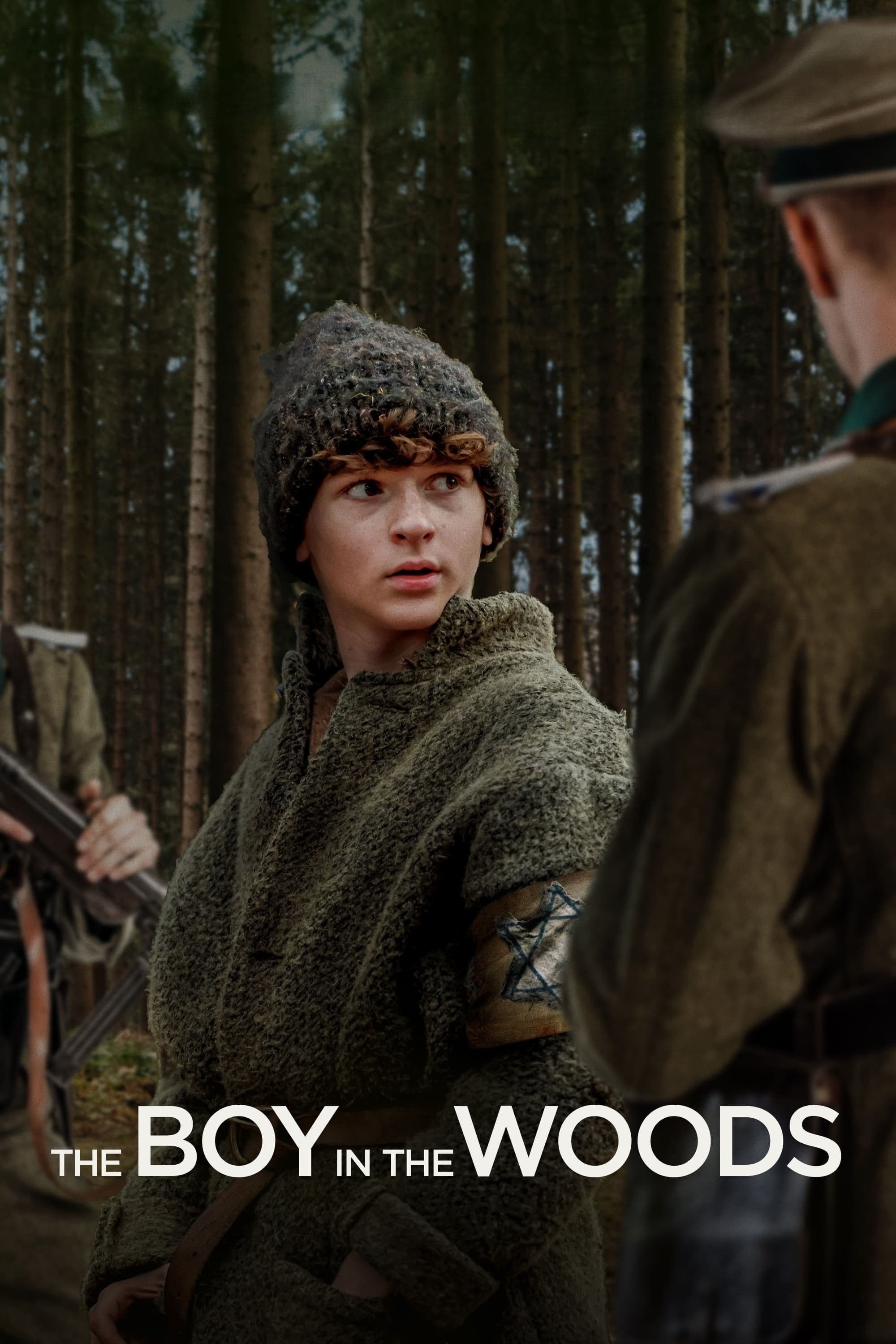 Poster The Boy in the Woods