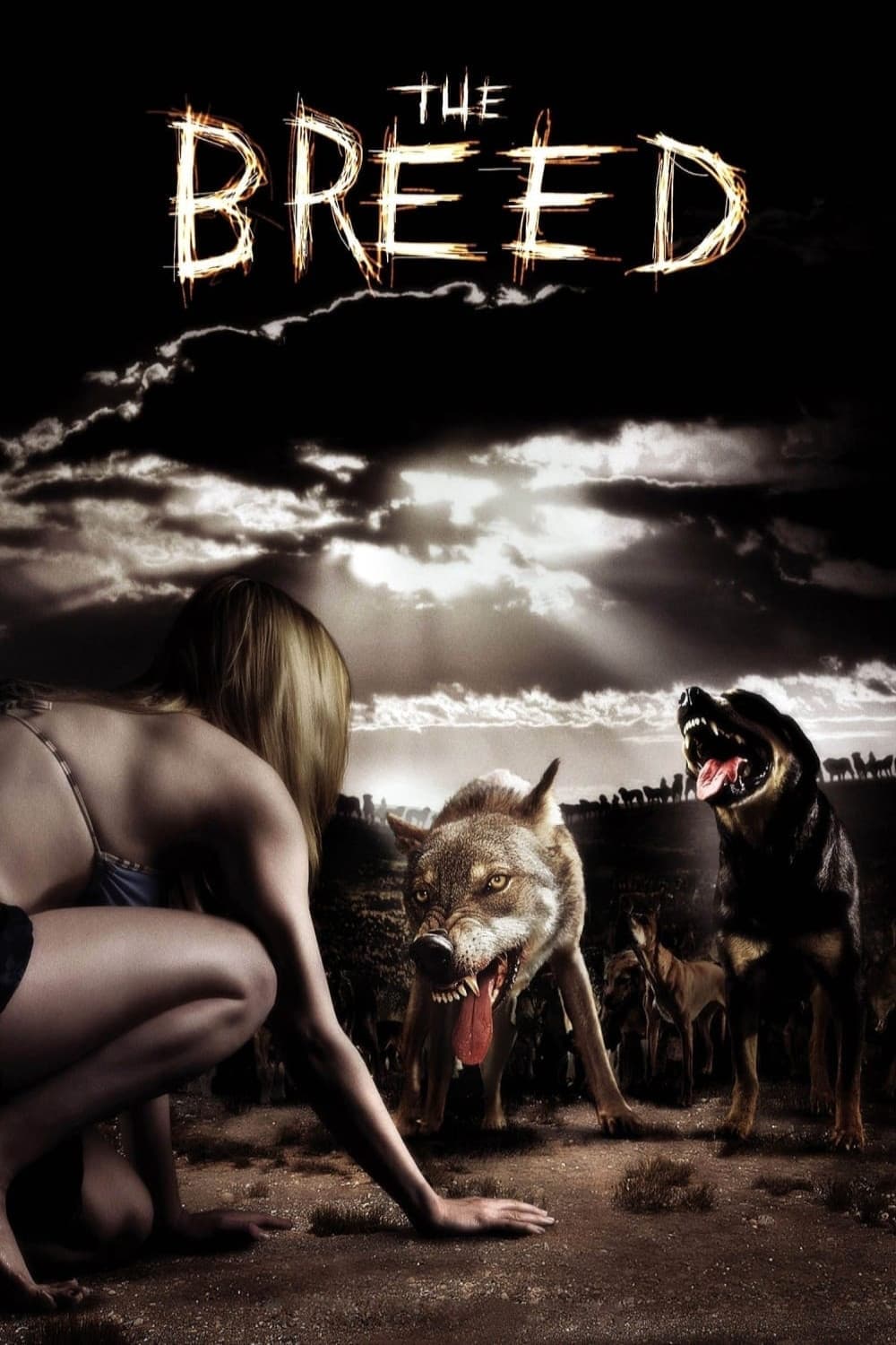 Poster The Breed