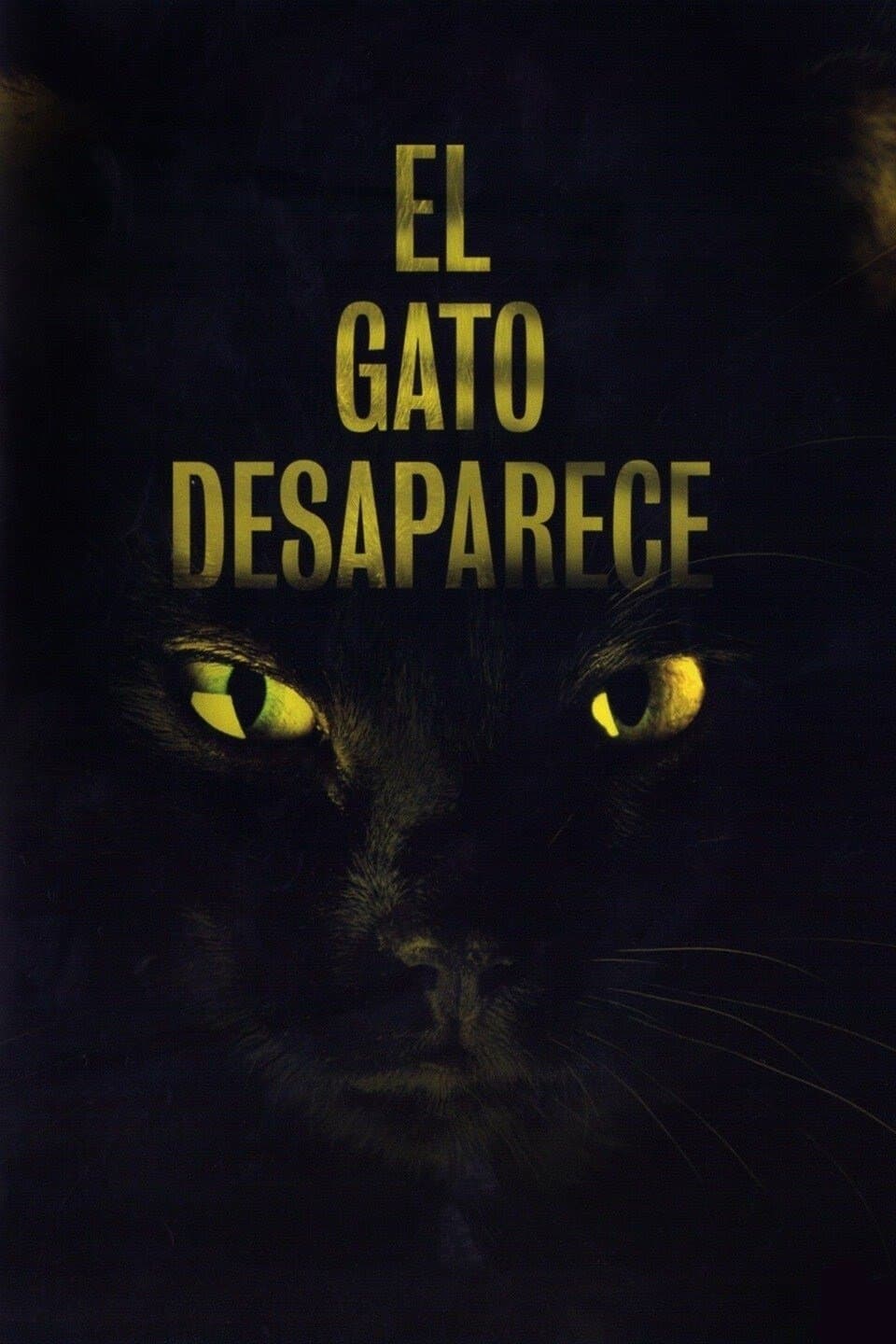 Poster The Cat Vanishes