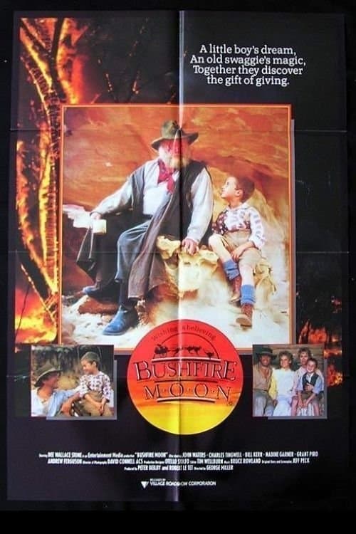 Poster The Christmas Visitor