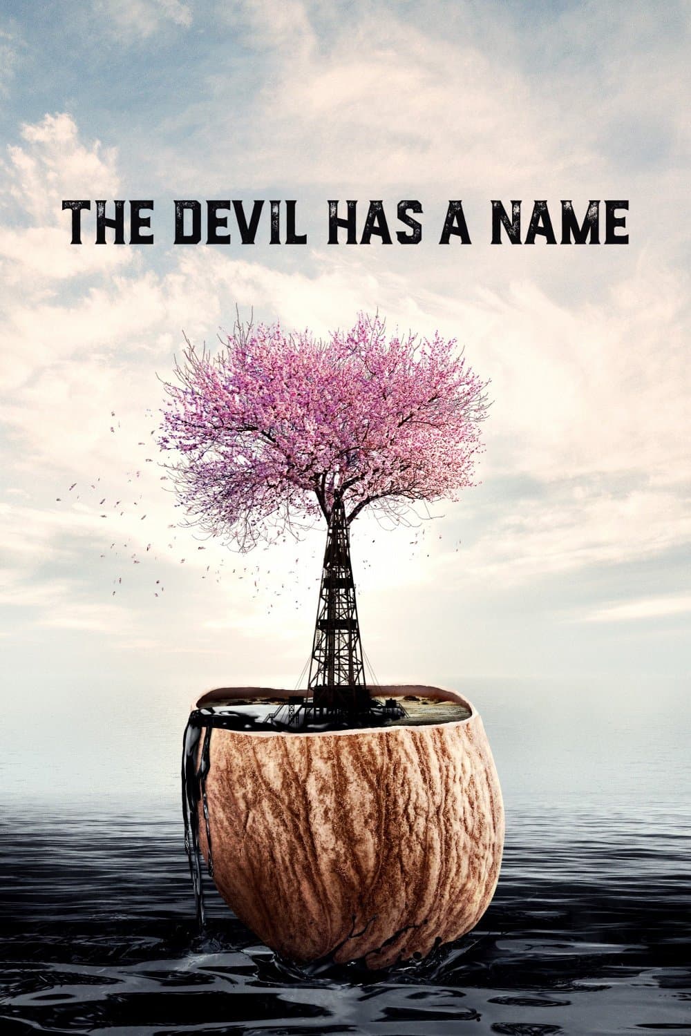 Poster The Devil Has a Name