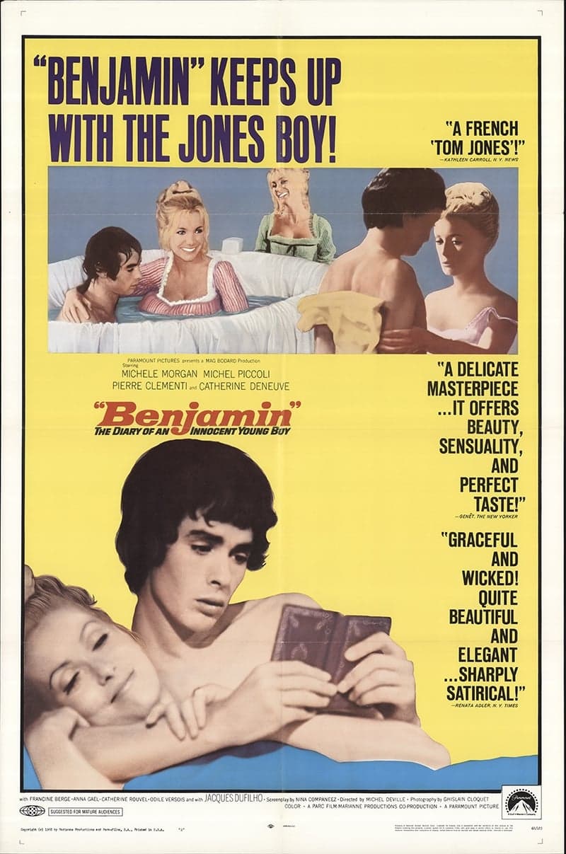Poster The Diary of an Innocent Boy