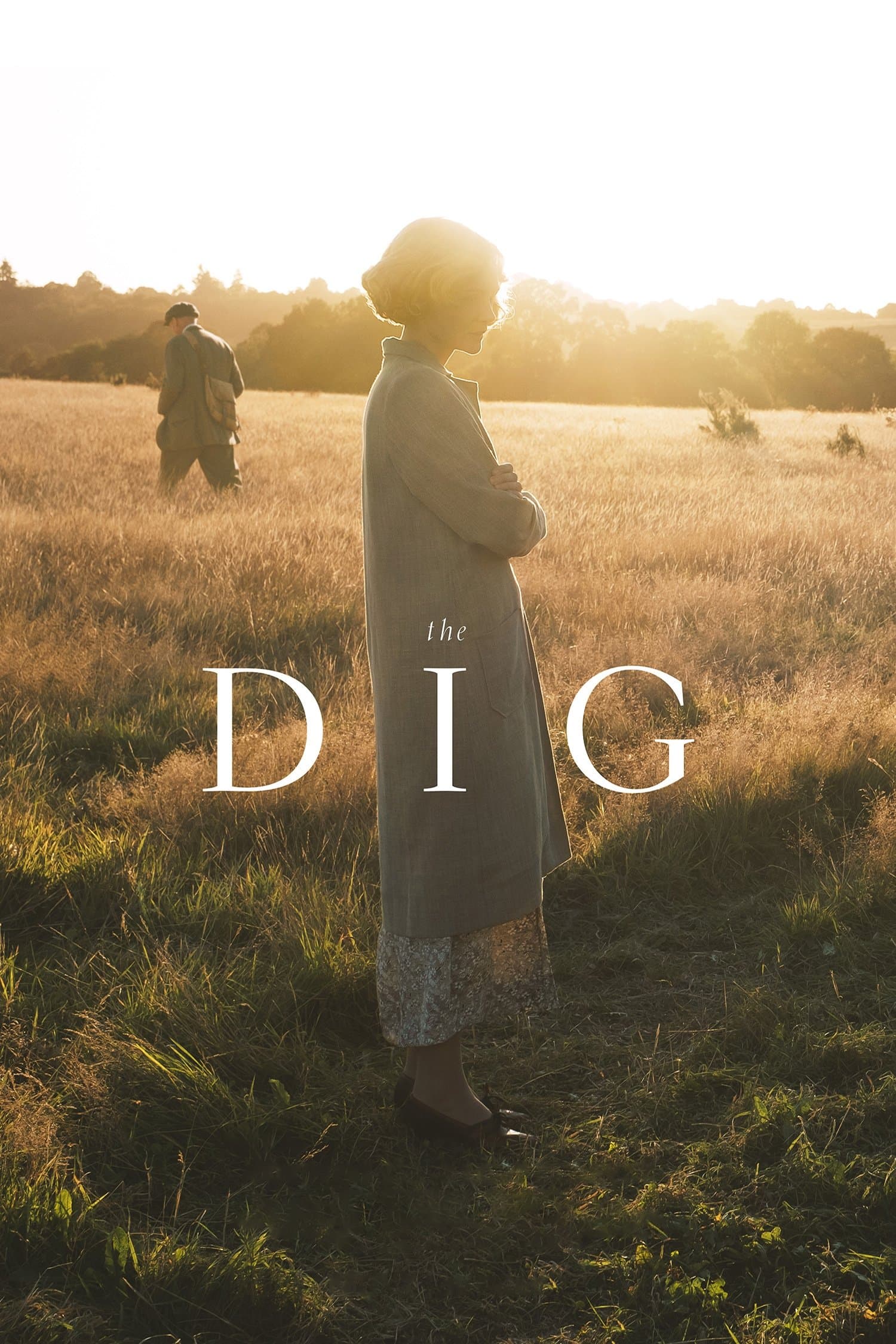 Poster The Dig