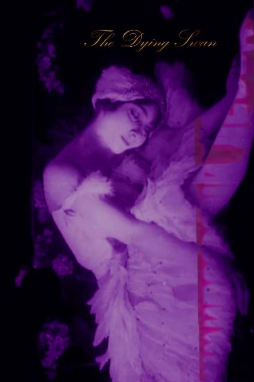 Poster The Dying Swan