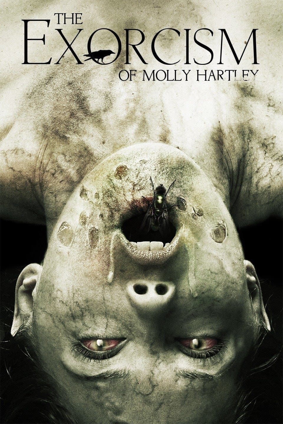 Poster The Exorcism of Molly Hartley