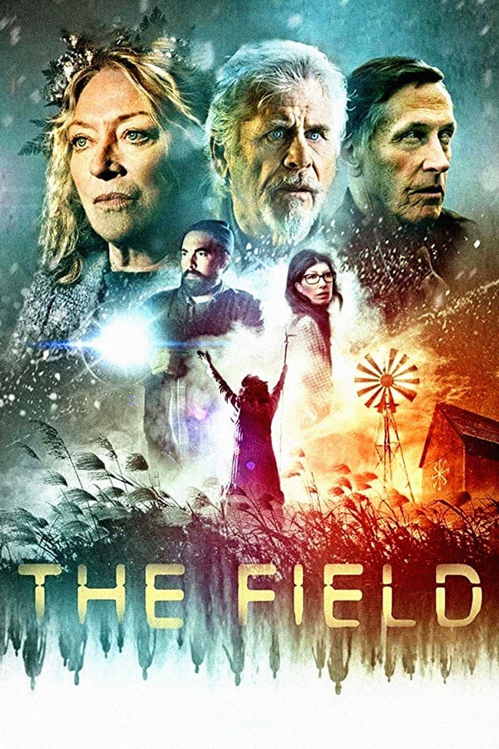 Poster The Field