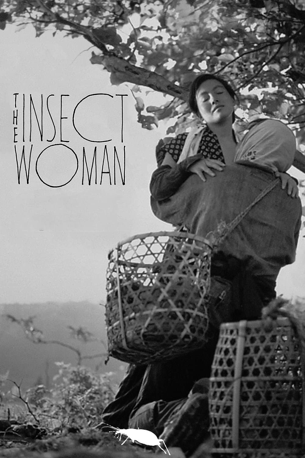 Poster The Insect Woman