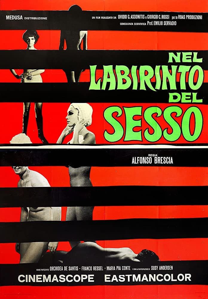 Poster The Labyrinth of Sex