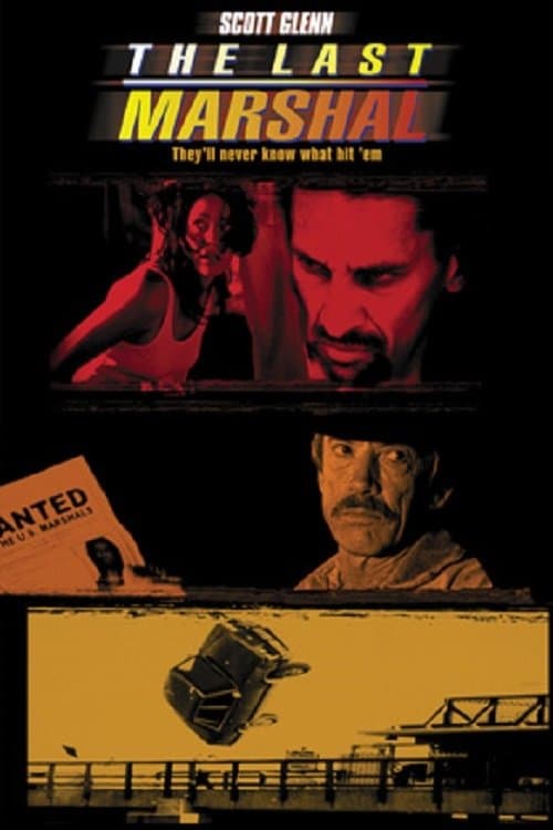 Poster The Last Marshal