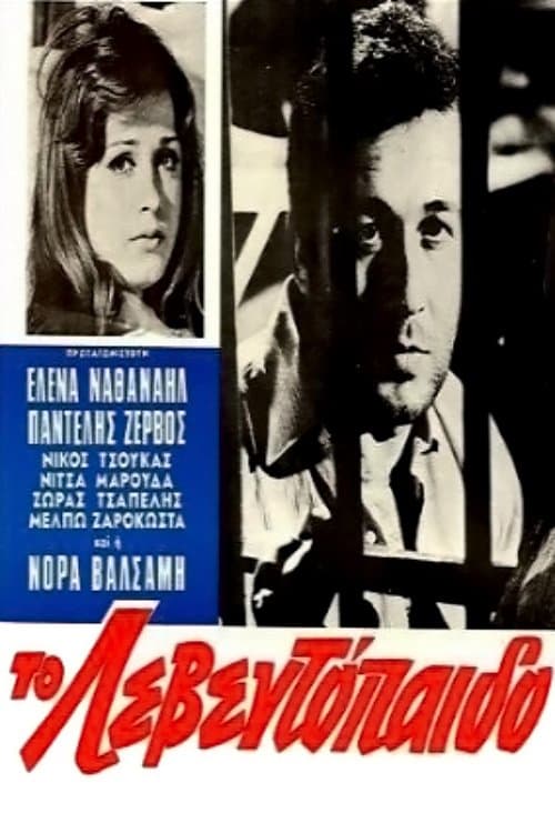Poster The Leventopaido