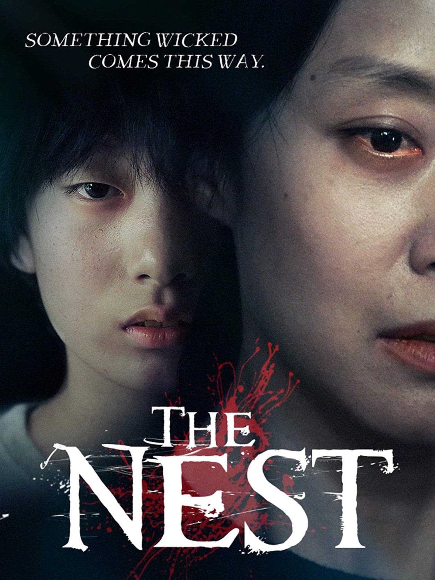 Poster The Nest