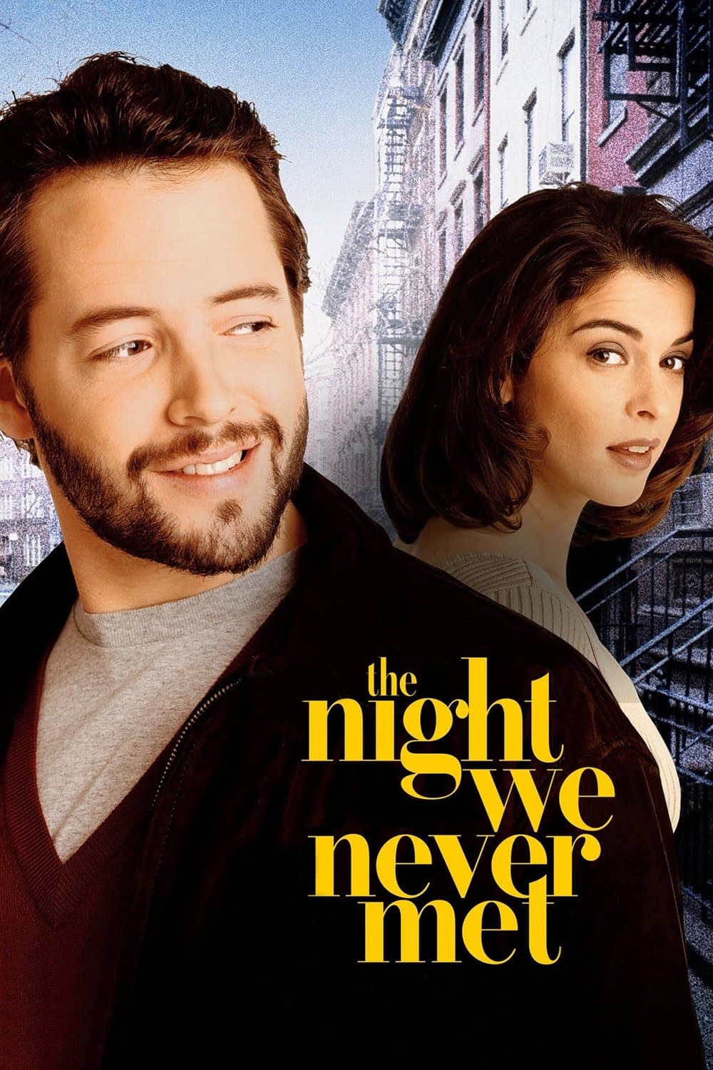 Poster The Night We Never Met