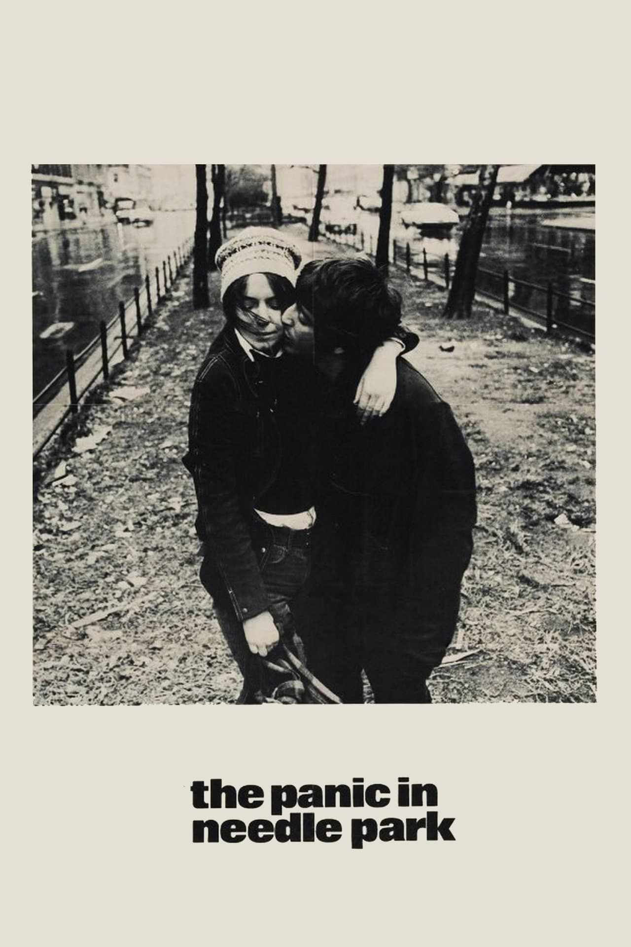 Poster The Panic in Needle Park