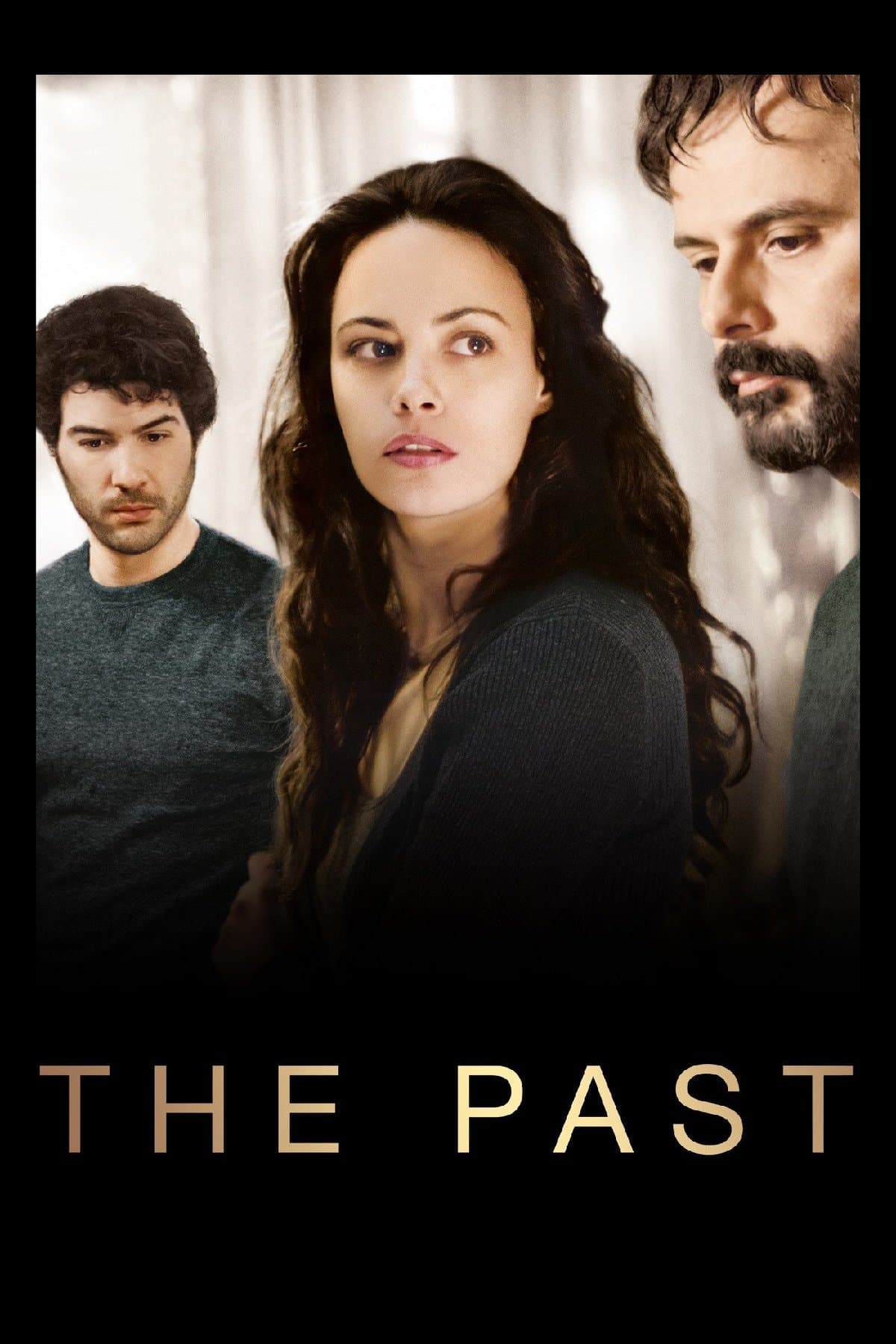 Poster The Past