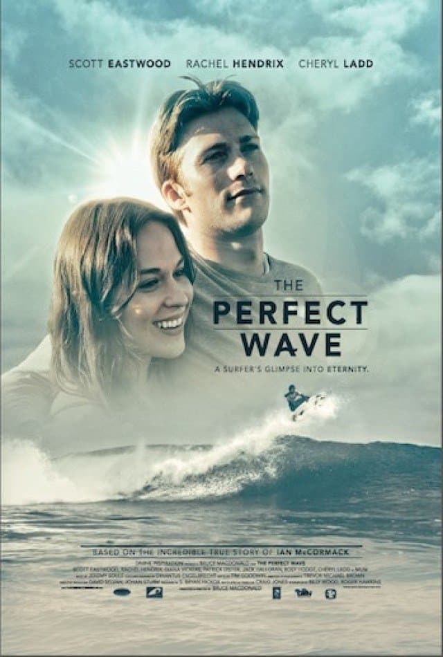 Poster The Perfect Wave