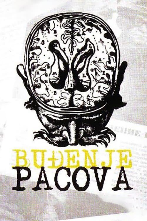 Poster The Rats Woke Up