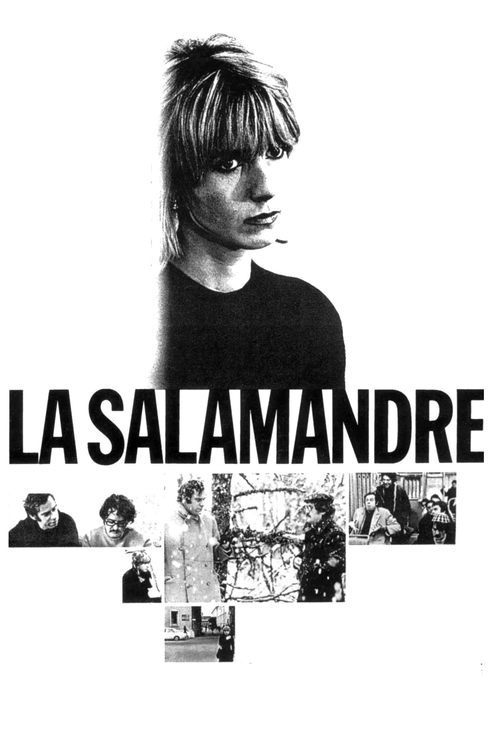 Poster The Salamander