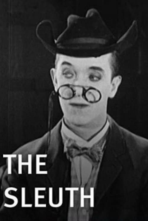 Poster The Sleuth
