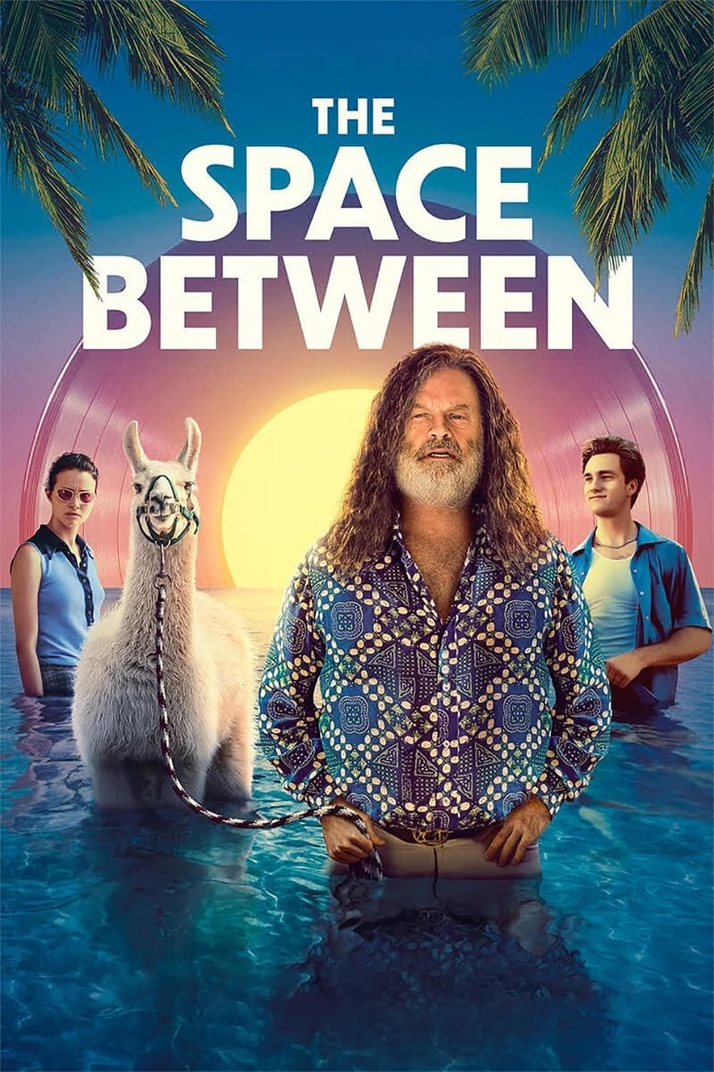 Poster The Space Between