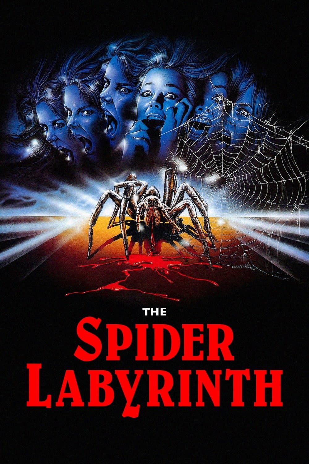 Poster The Spider Labyrinth