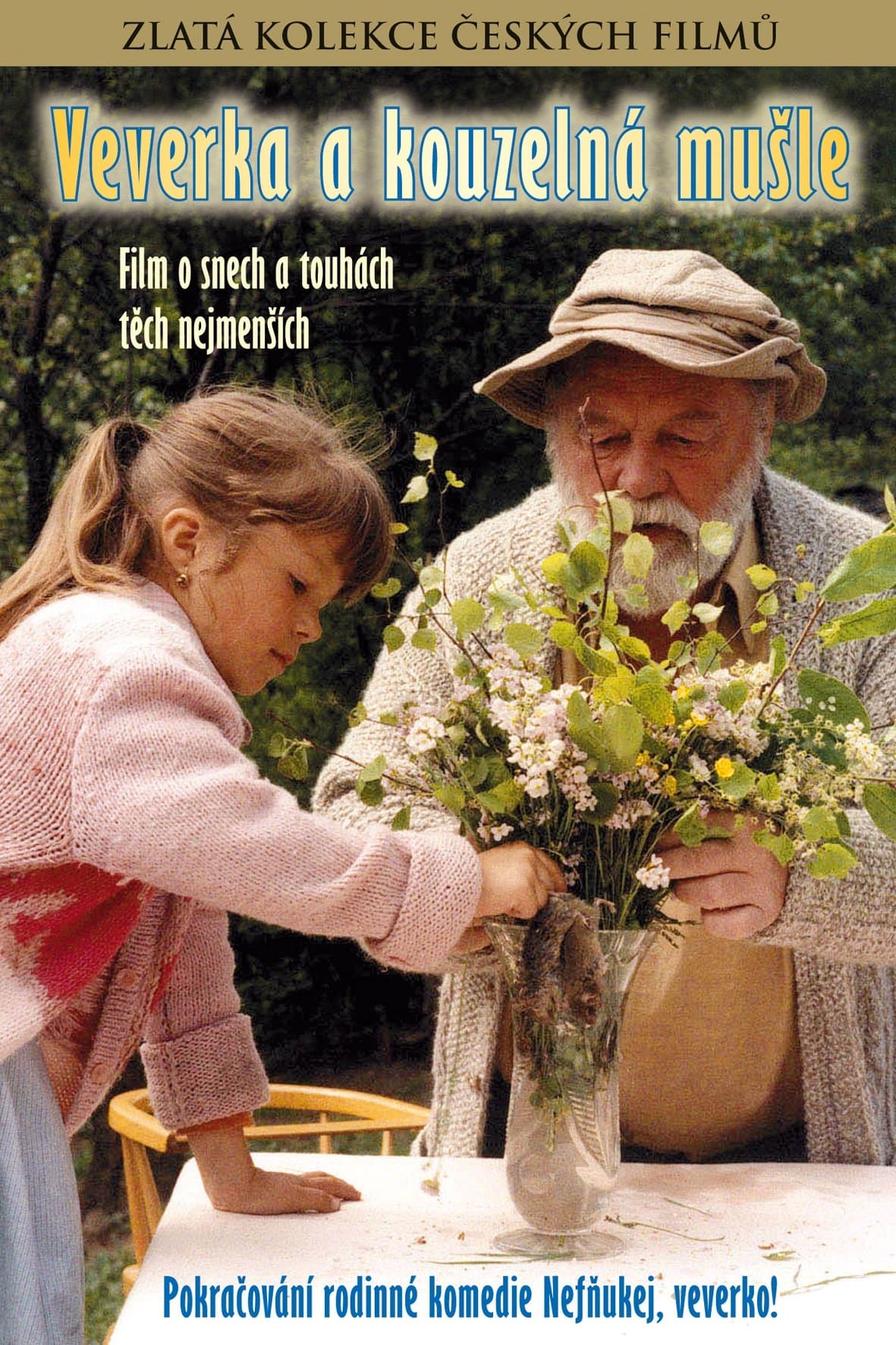 Poster The Squirrel and the Magic Shell